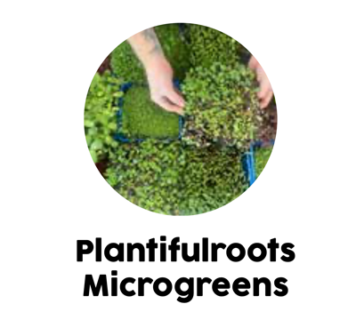 Microgreens Plantiful